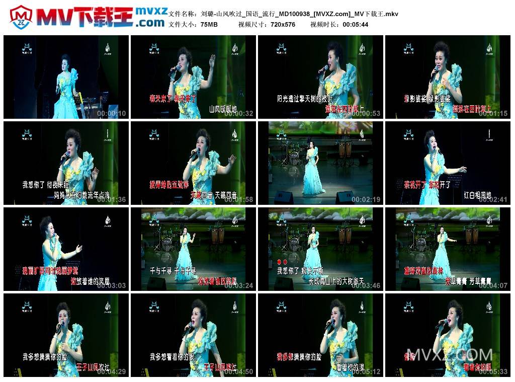 刘璐-山风吹过_国语_流行_MD100938